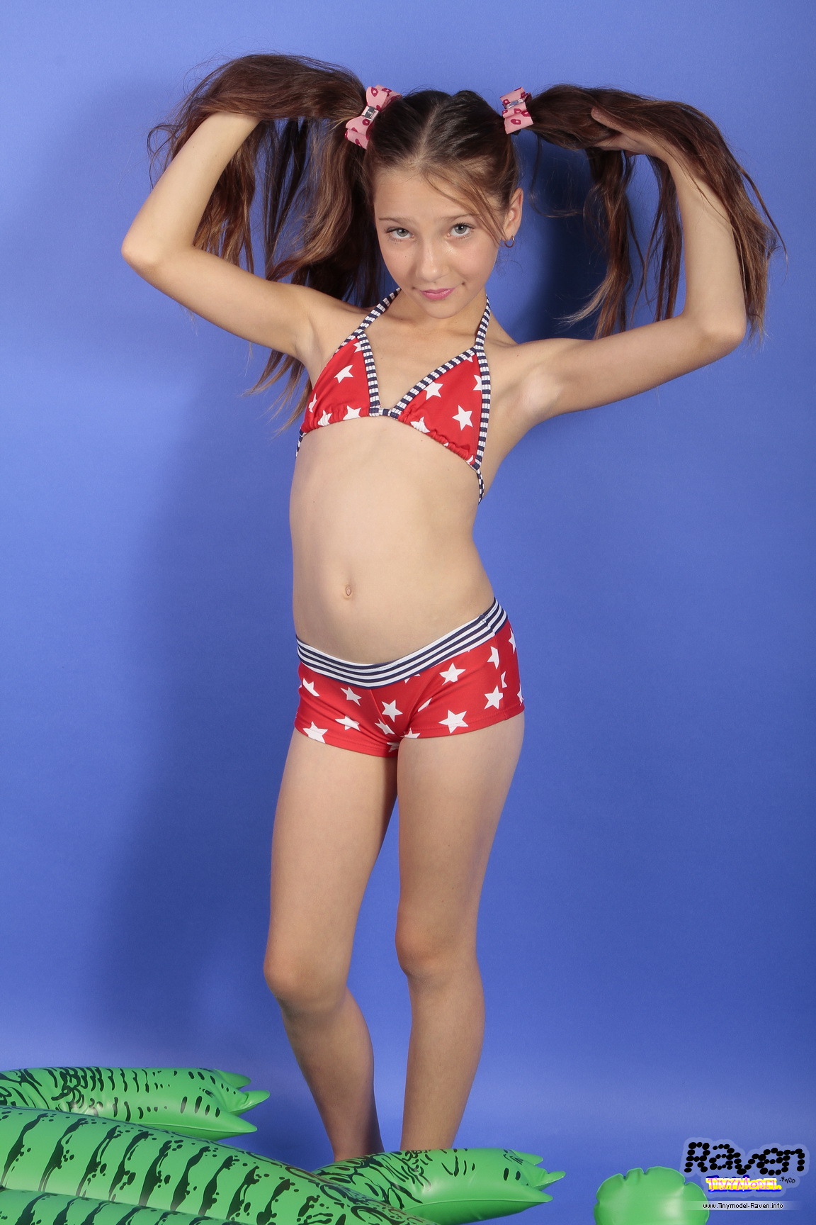 TinyModel_Raven_3   15320-3   9G