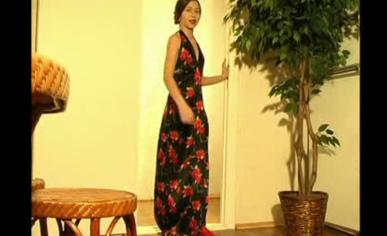 C-12　B　5セット　動画1200　20GB